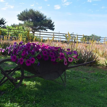 Il Giardino Delle Aloe Guest House Фавиняна Екстериор снимка