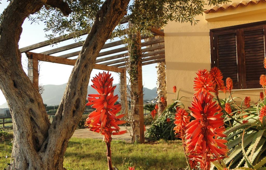 Il Giardino Delle Aloe Guest House Фавиняна Екстериор снимка