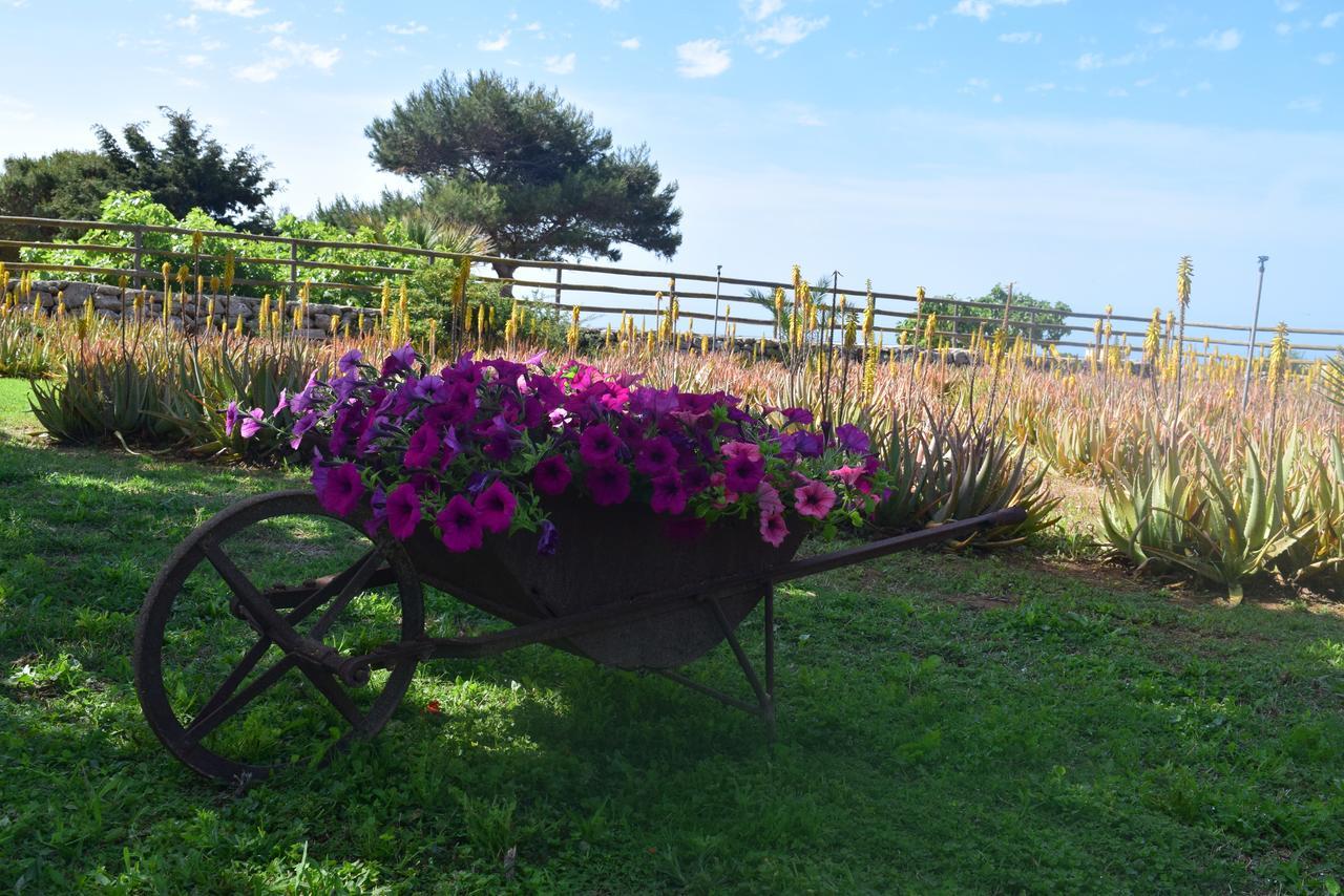 Il Giardino Delle Aloe Guest House Фавиняна Екстериор снимка